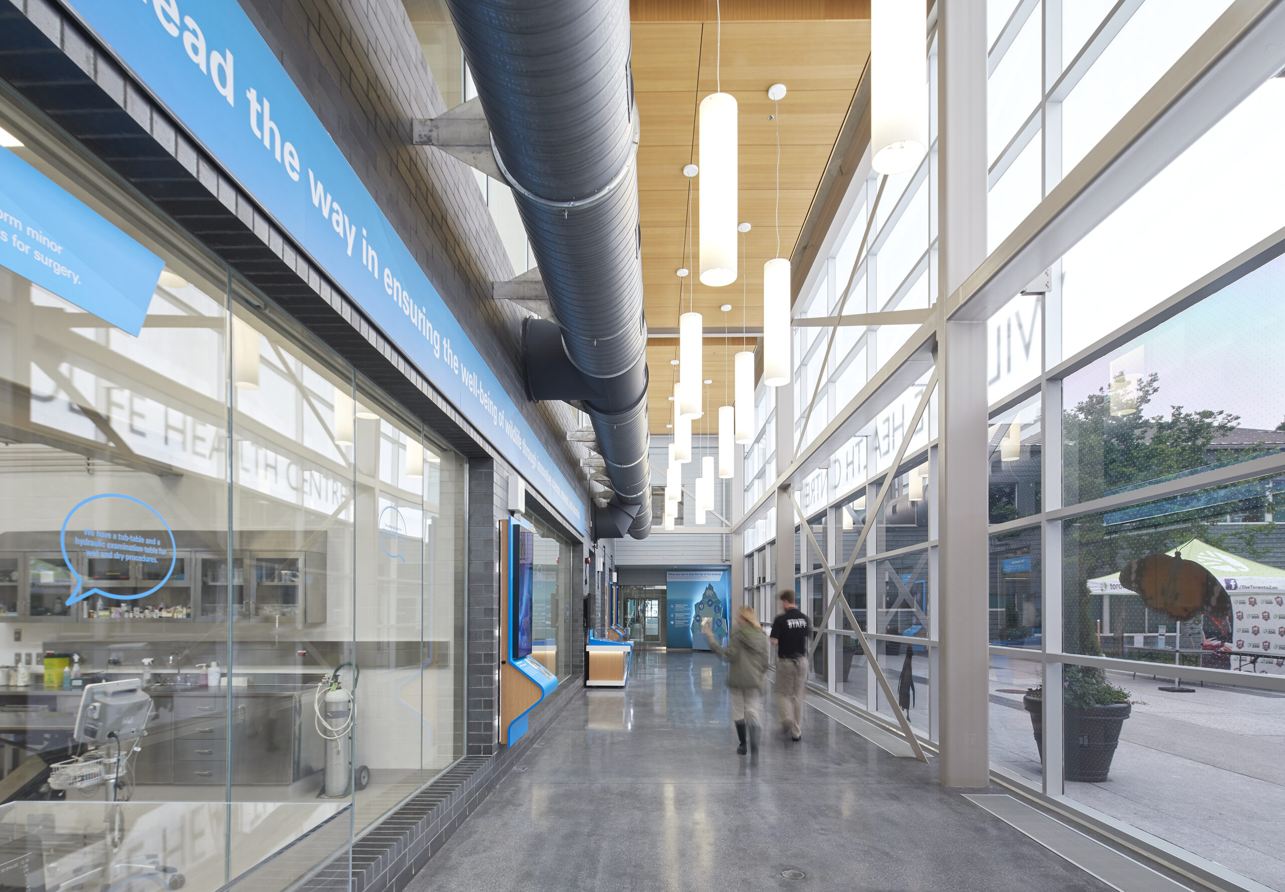 Toronto Zoo Wildlife Health Centre public corridor beside treatment and observation areas