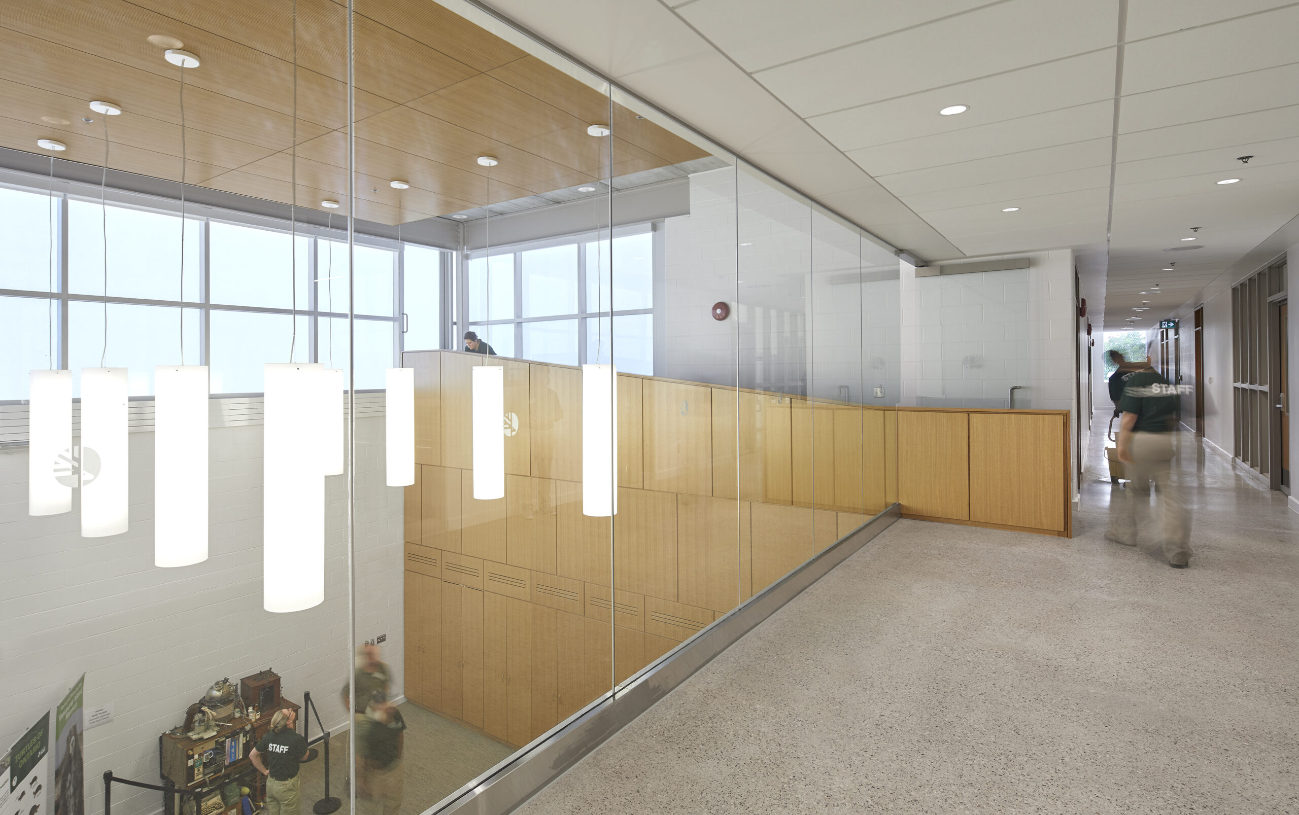 Toronto Zoo Wildlife Health Centre upper-level daylit corridor